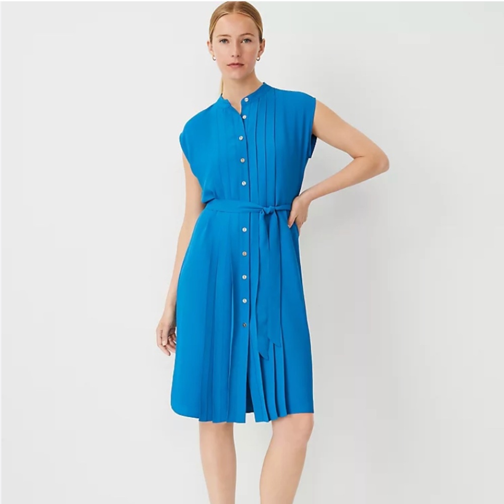 Ann Taylor Santorini Pleated Belted Dress